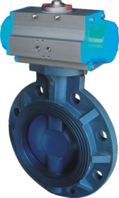 ������ϵ��y